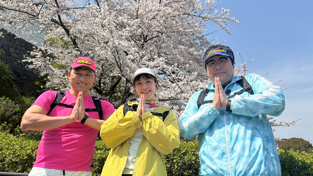 2025年5月11日