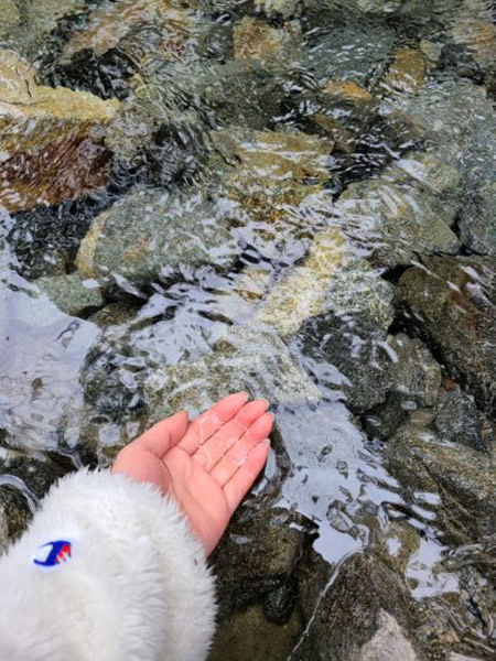 手と水