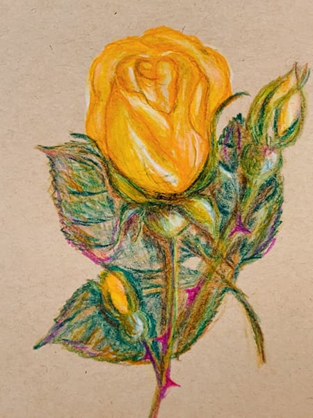 イラスト