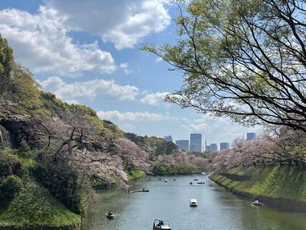 千鳥ヶ淵