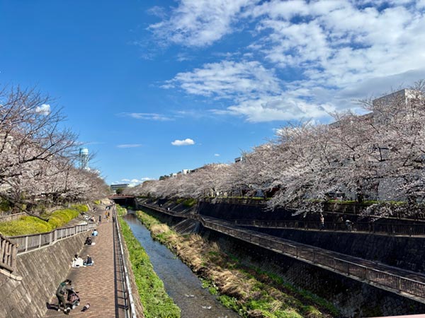 写真1