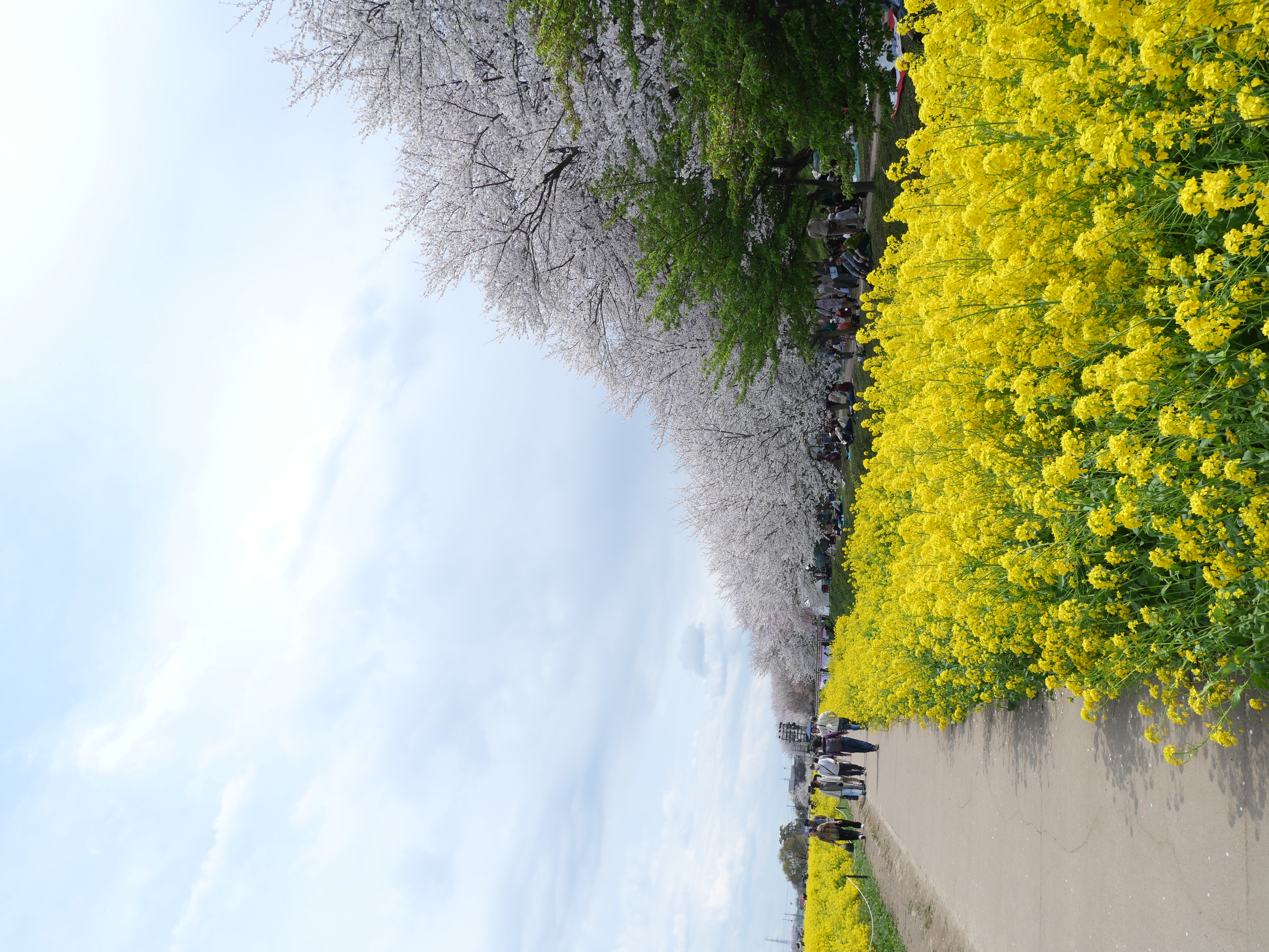 写真3