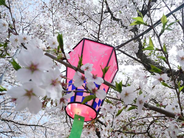 写真5