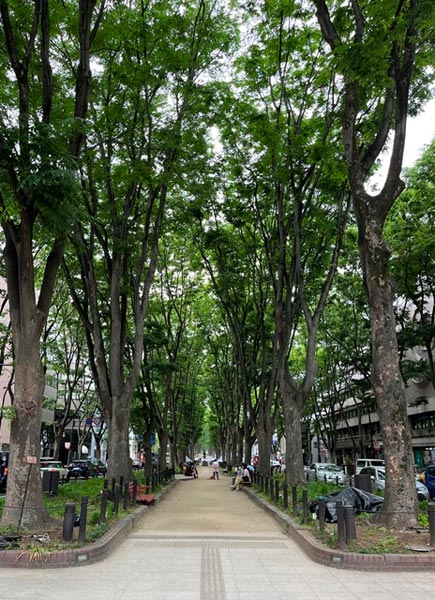定禅寺通り