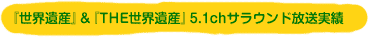 $B%5%&%s%I%(%s%8%K%