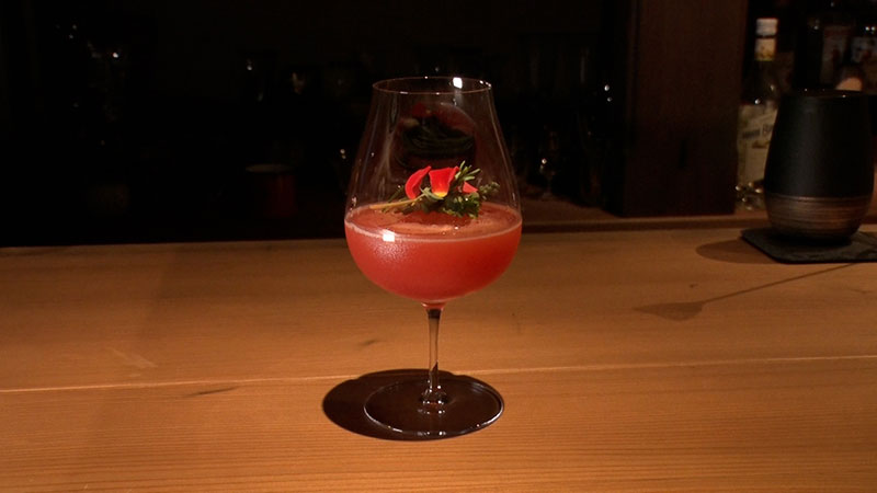 ◾BAR ADENIUM