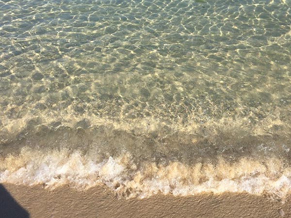 海
