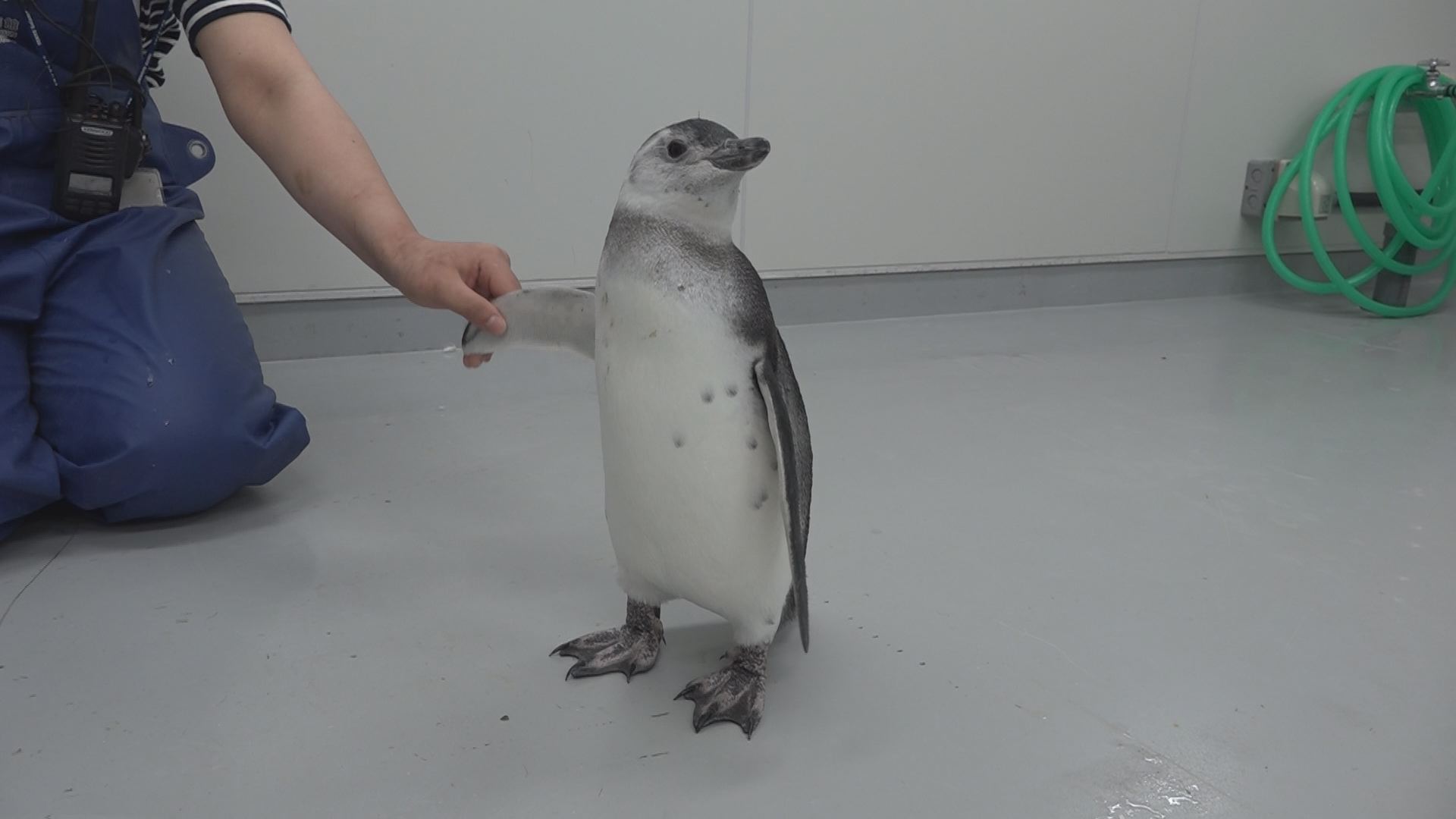 この記事の写真
