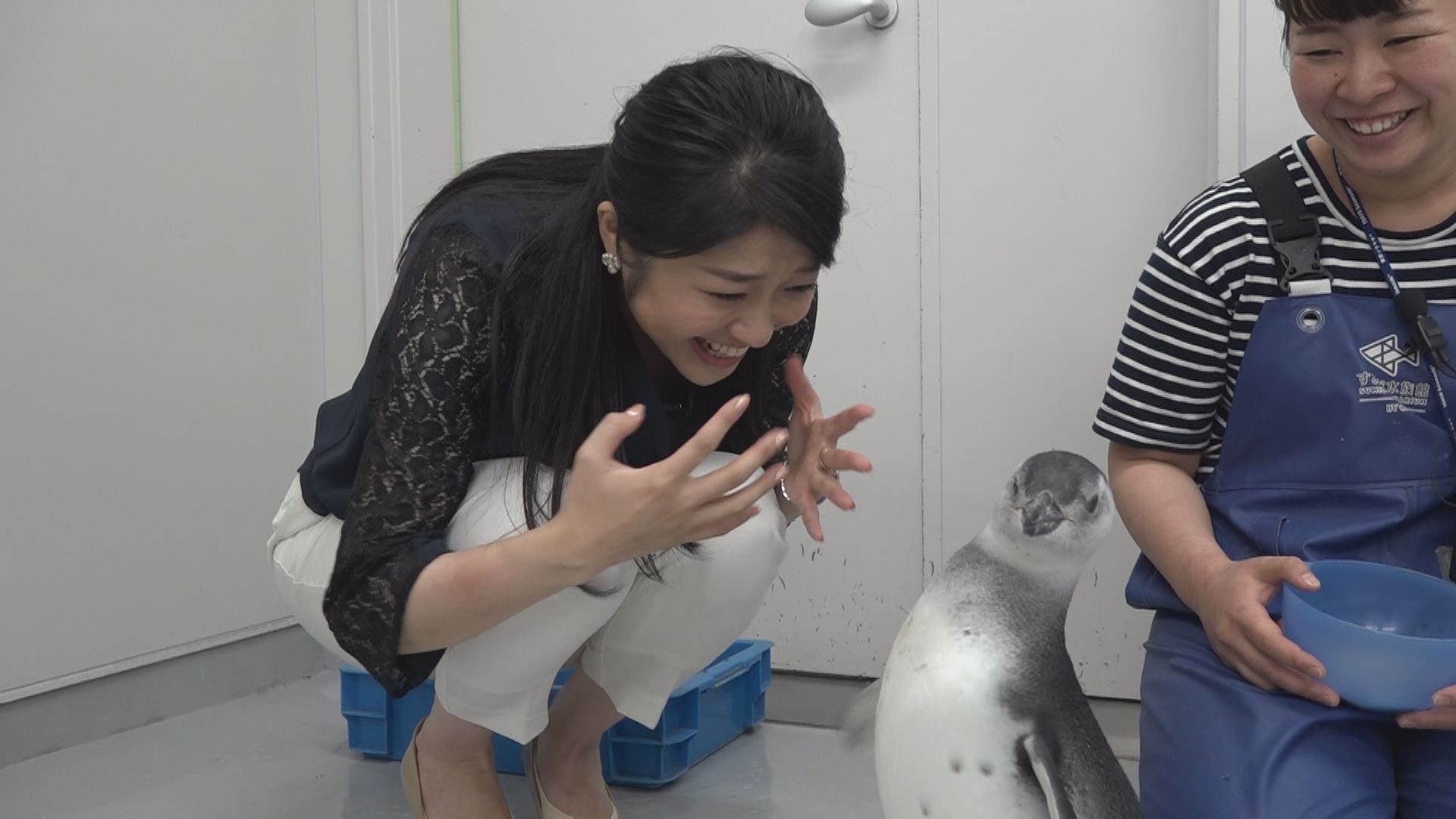 この記事の写真