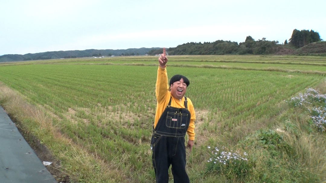 2023年11月5日